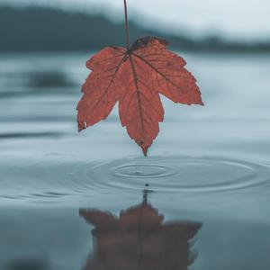 日本系列第一页
